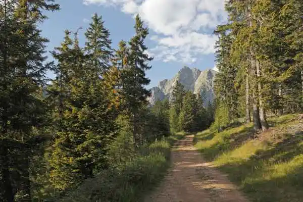 Wanderweg im Wald bei Vöran in Südtirol mit Blick auf die Berge